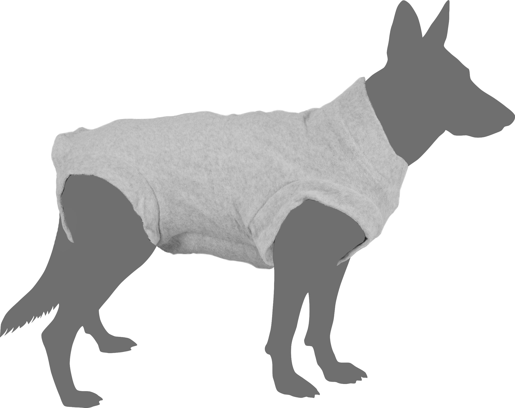 Harnais de Sécurité Confortable pour Chiens