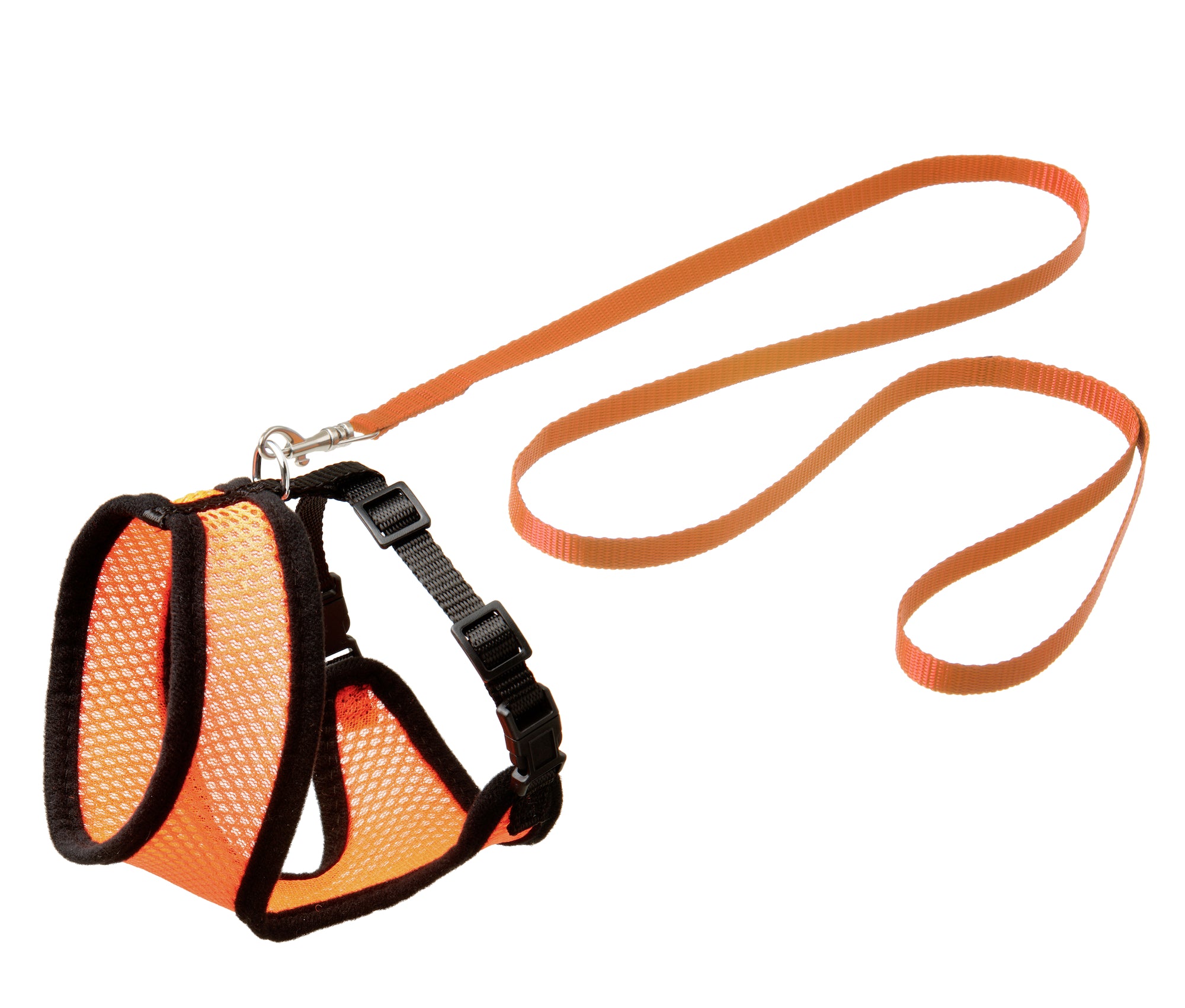 Ensemble Harnais Rouge Ajustable pour Chat