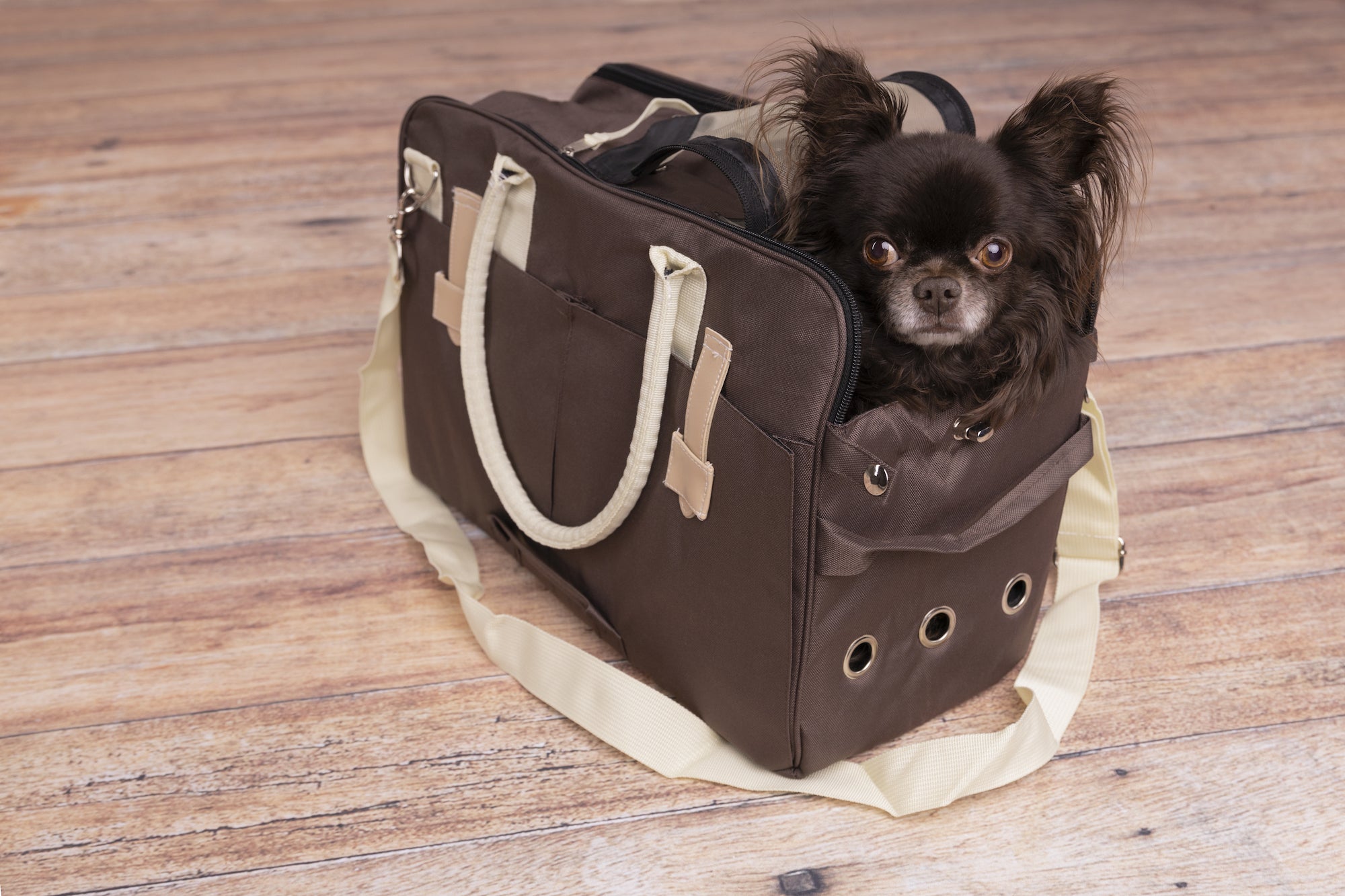 Sac de transport foncé