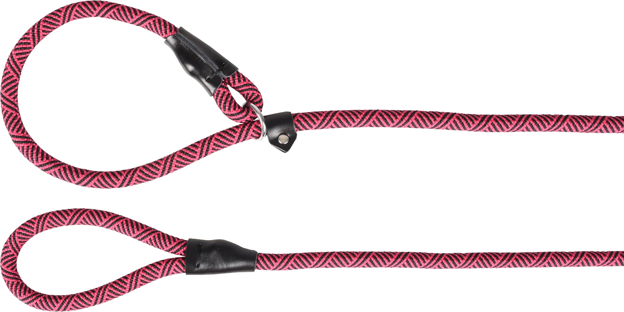 Laisse anti-traction