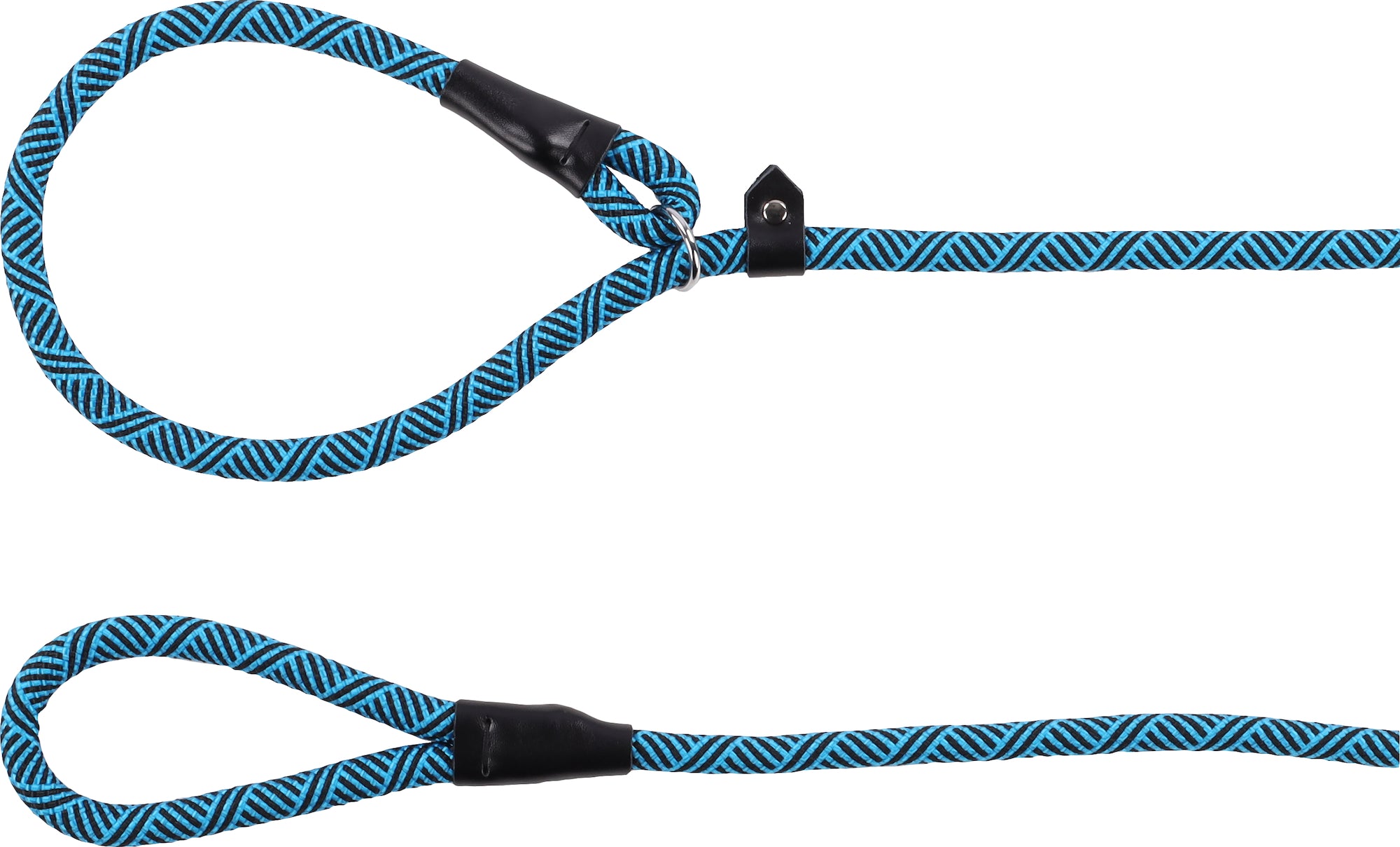 Laisse anti-traction