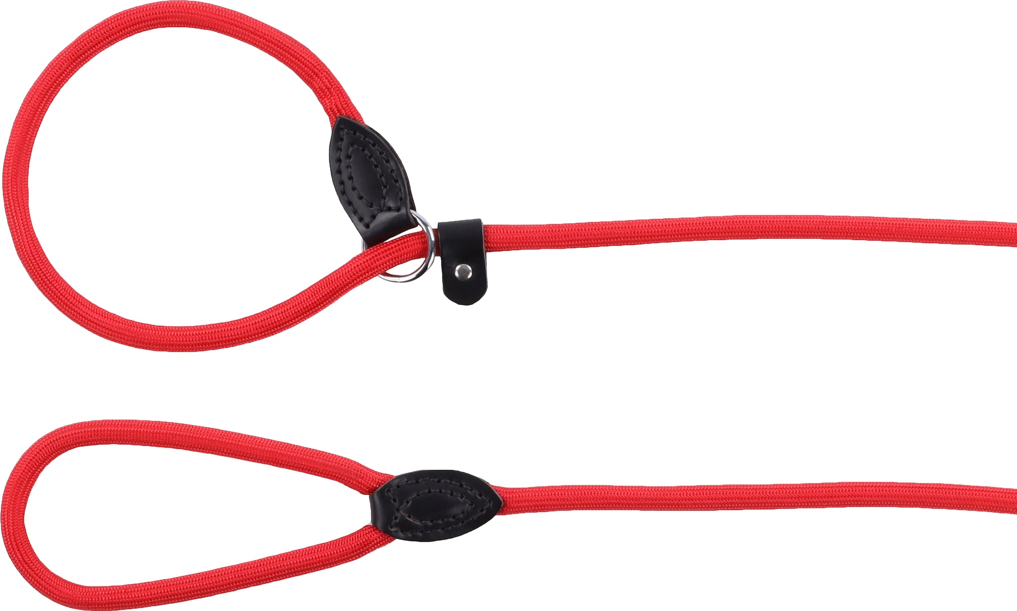 Laisse anti-traction