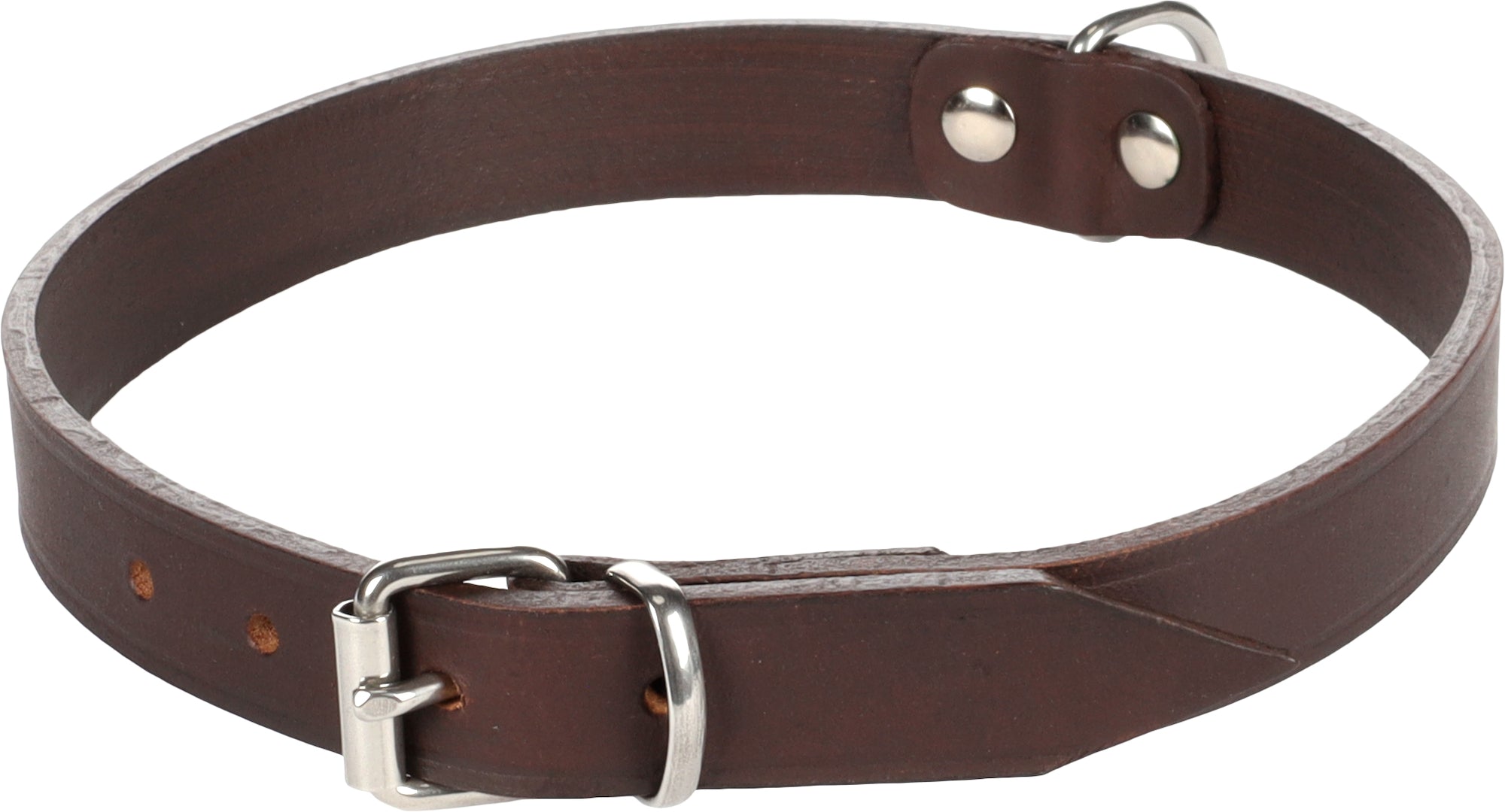 Collier Élégant en Cuir pour Chiens Rondo