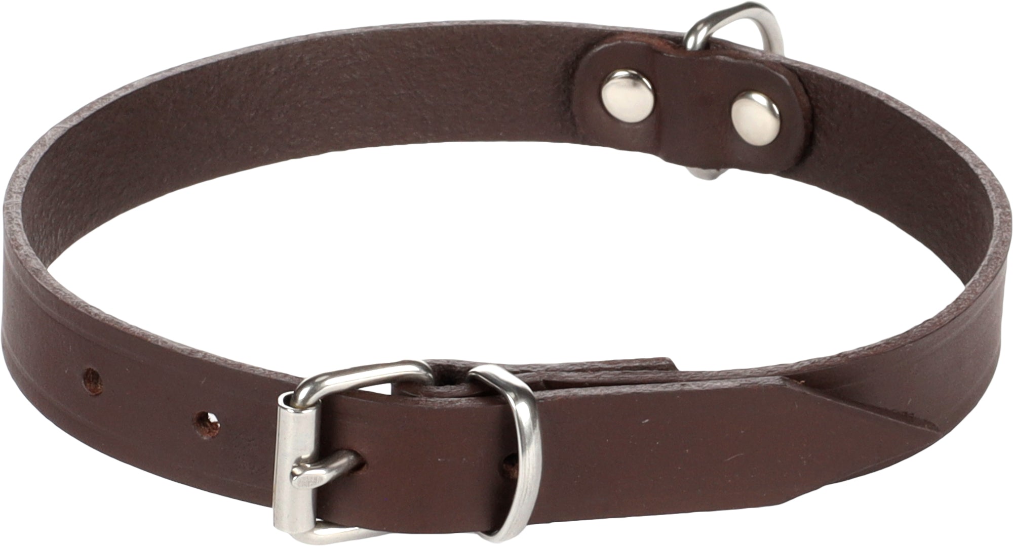 Collier Élégant en Cuir pour Chiens Rondo