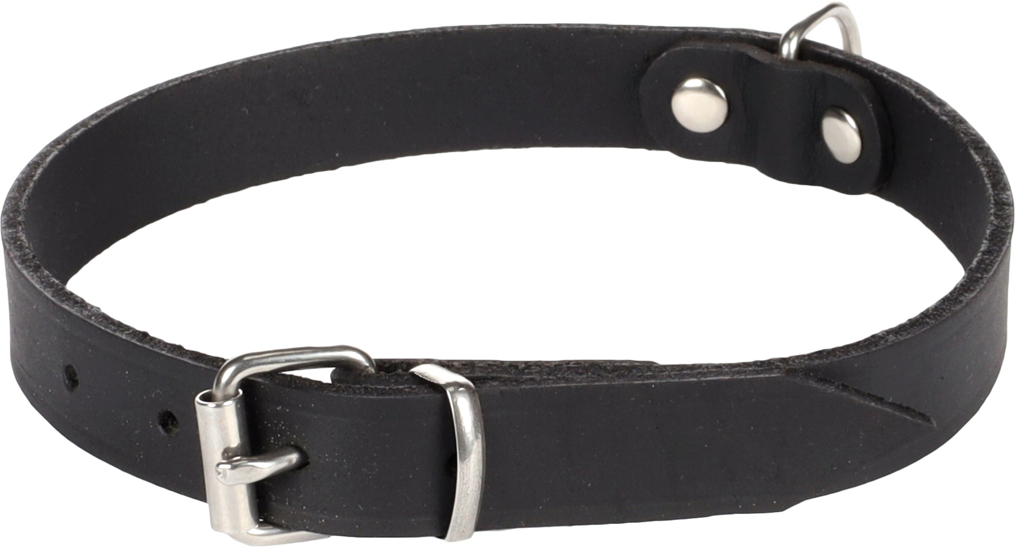 Collier Élégant Rondo pour Chiens de Toutes Tailles