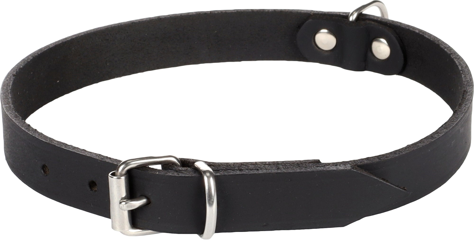 Collier Élégant Rondo pour Chiens de Toutes Tailles