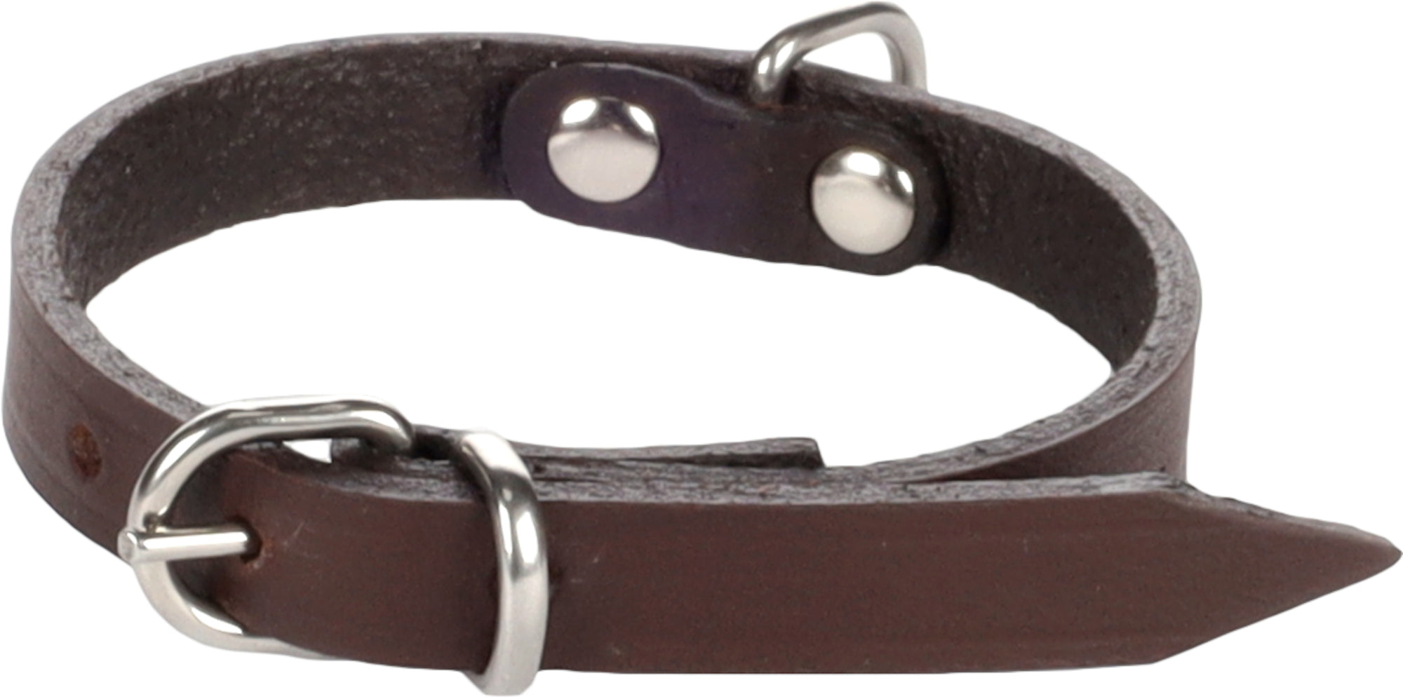 Collier Élégant Rondo pour Chiens