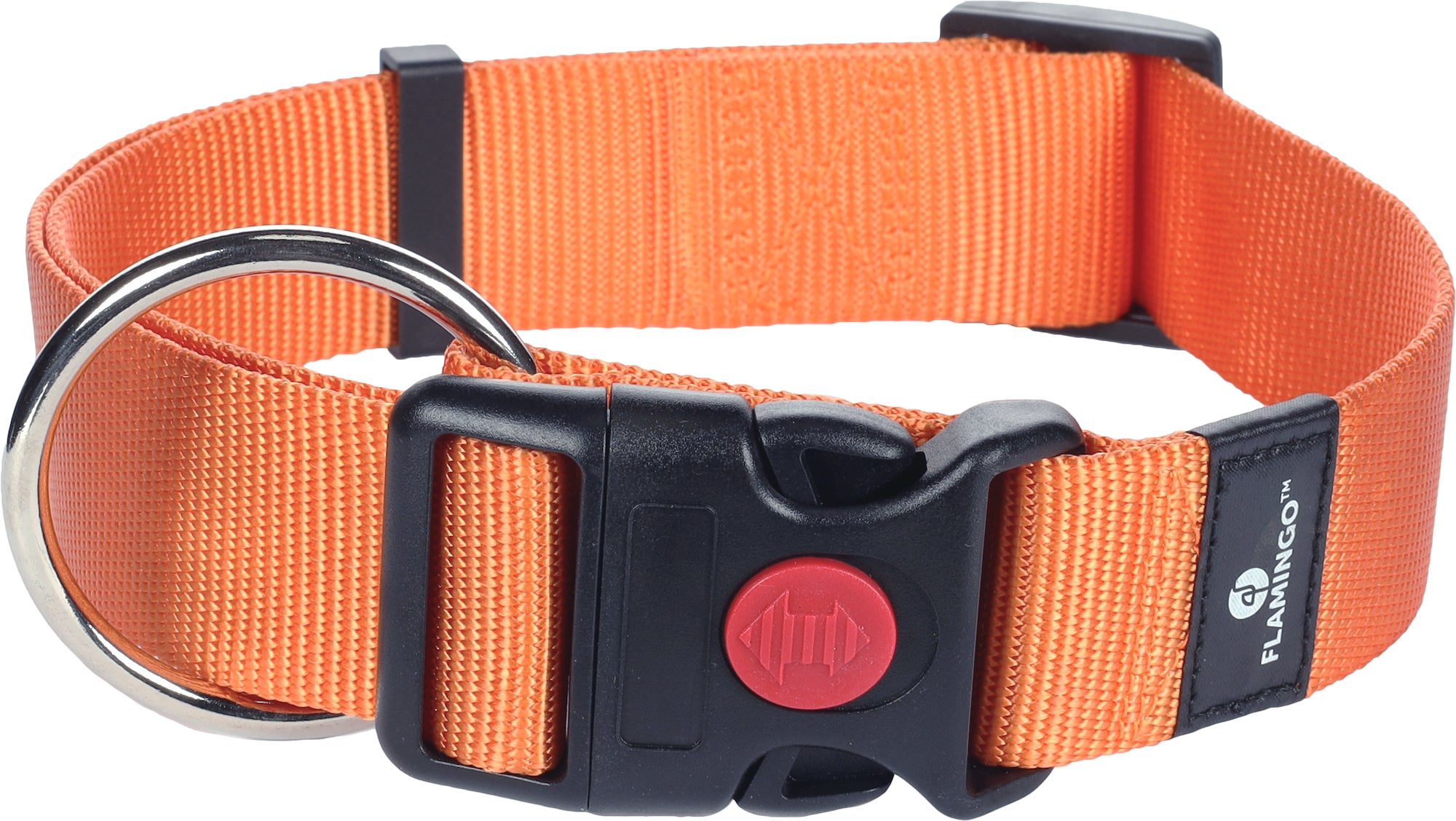 Collier Sécurité Ziggi pour Animaux