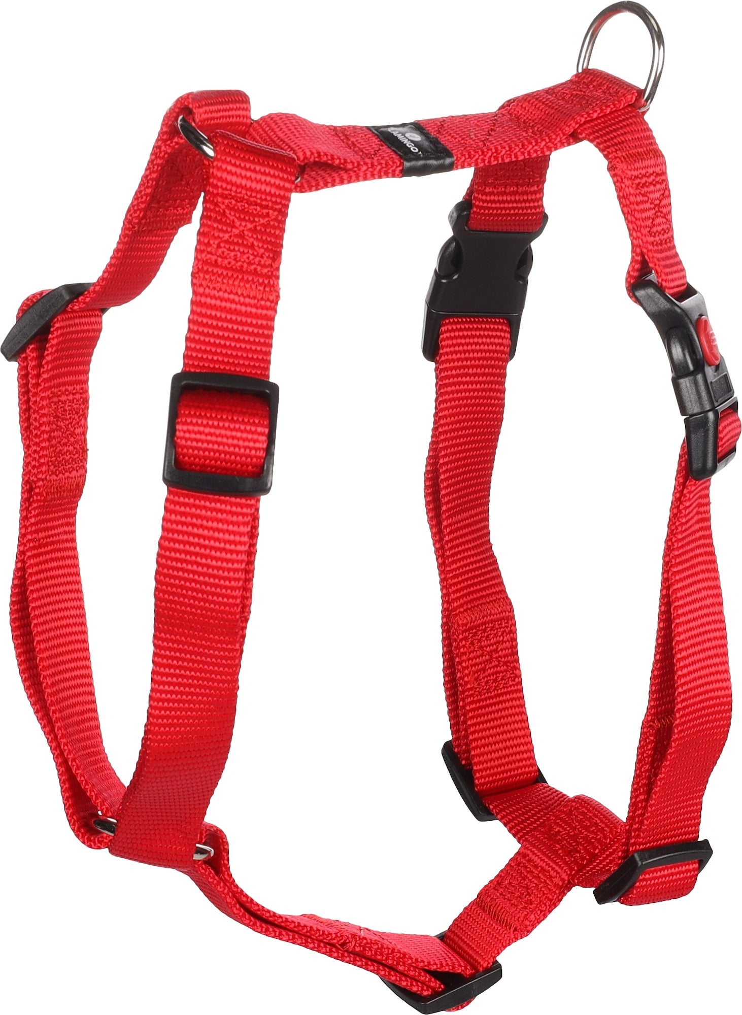 Harnais Ziggi Chic et Confort pour Chiens