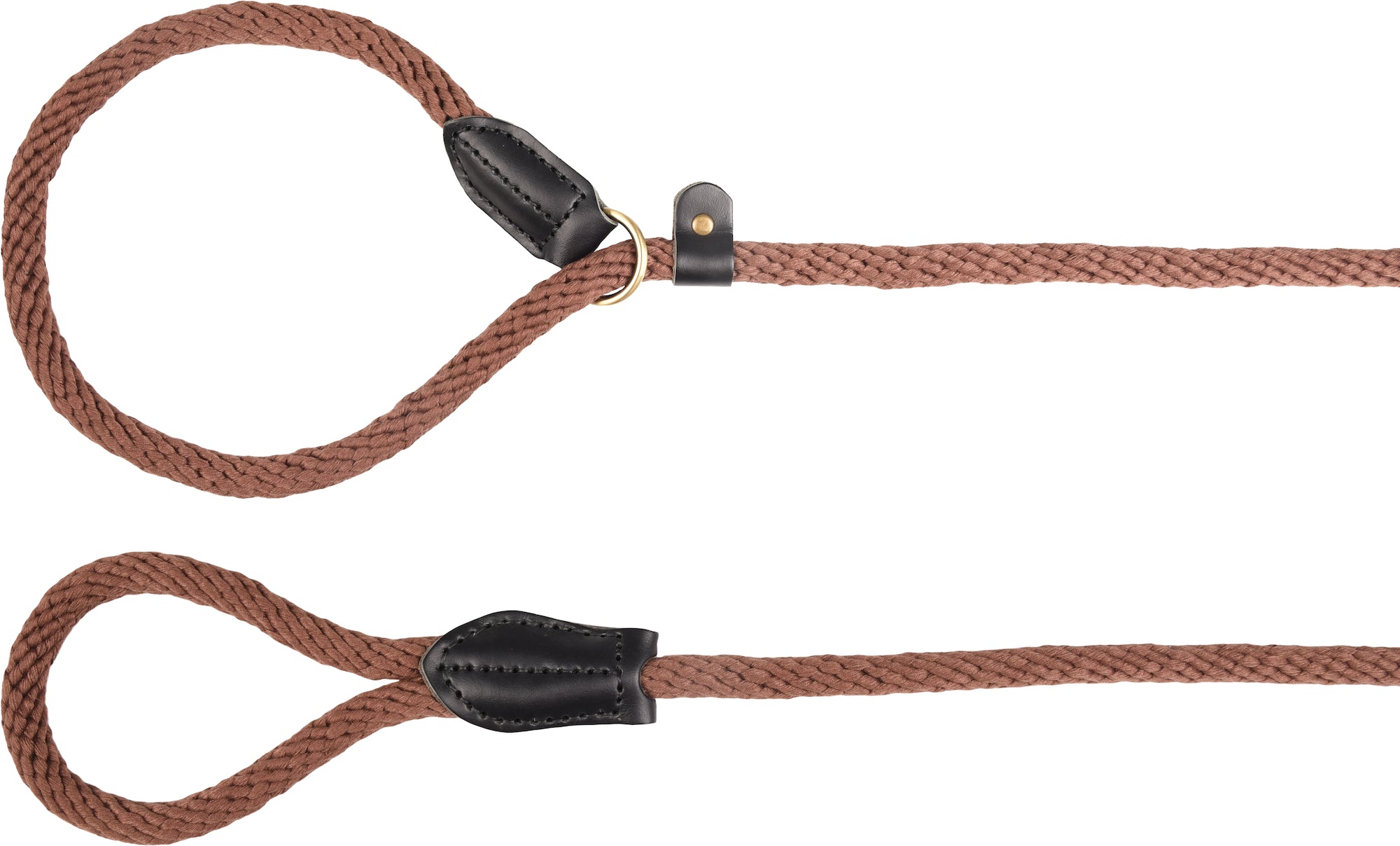 Laisse anti-traction foncé