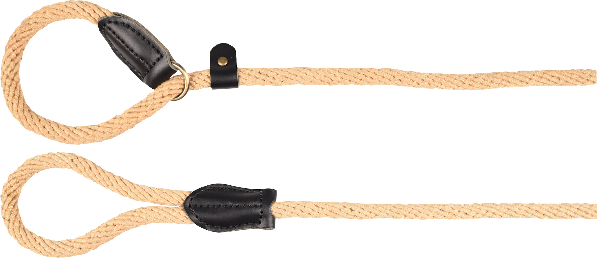 Laisse anti-traction foncé