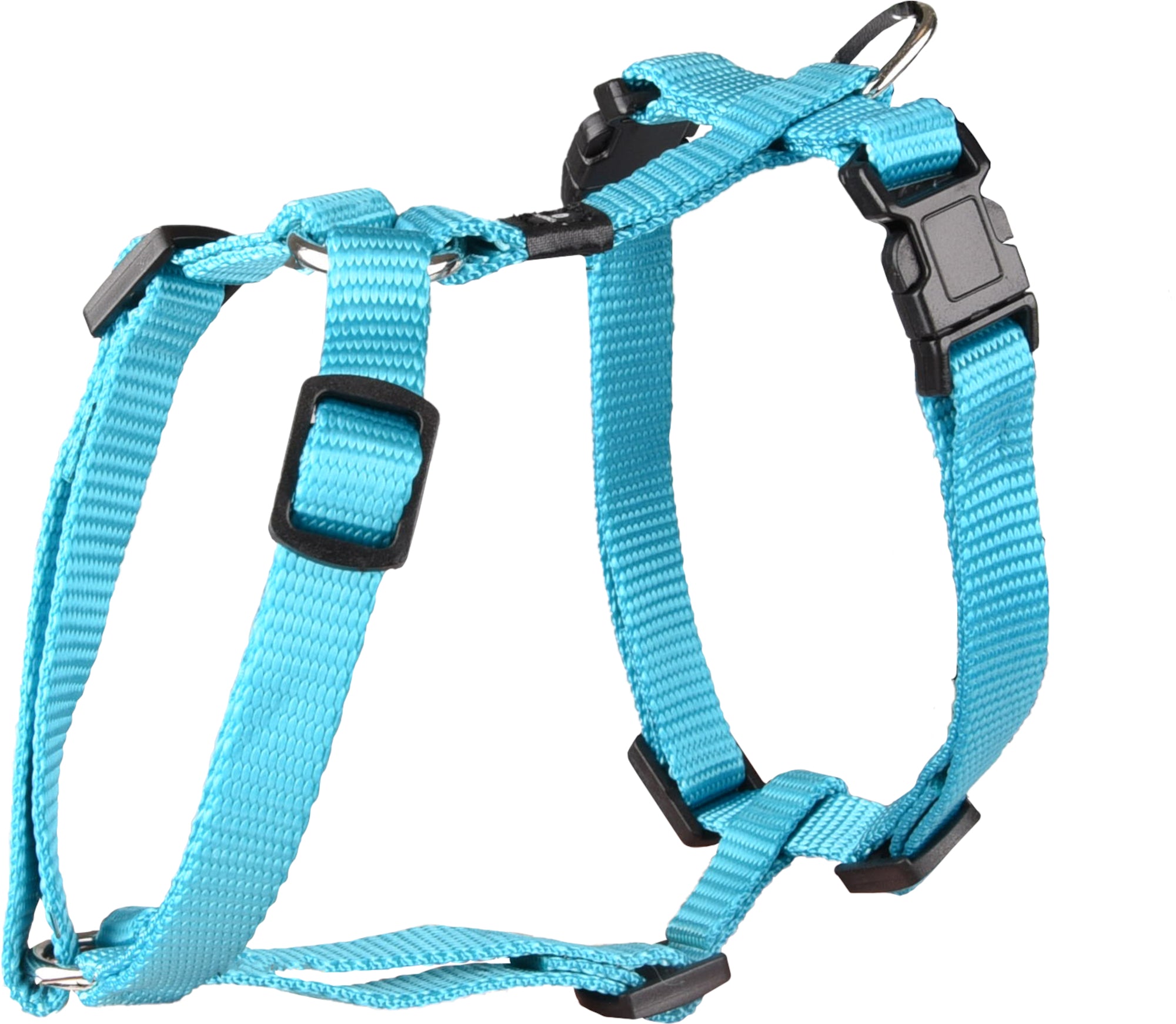 Harnais Harnais H Turquoise