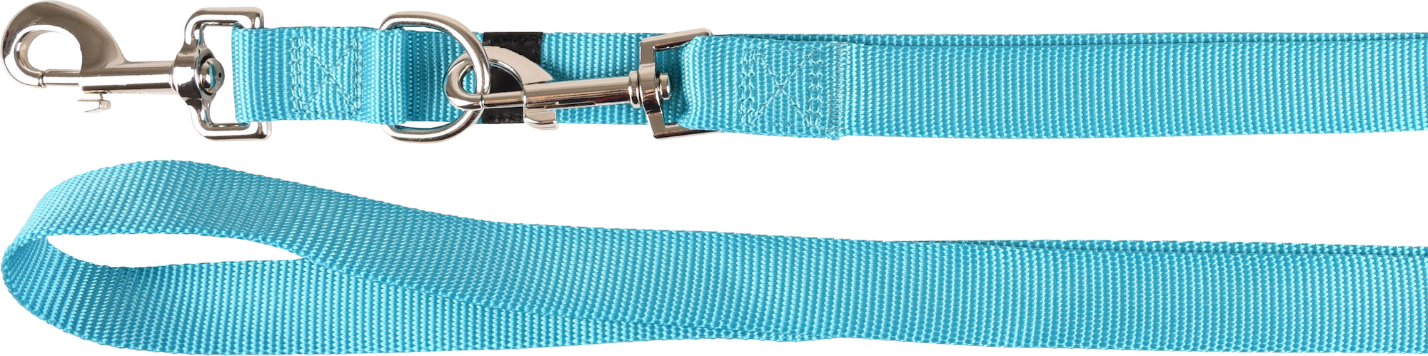 Laisse d'entraînement Turquoise