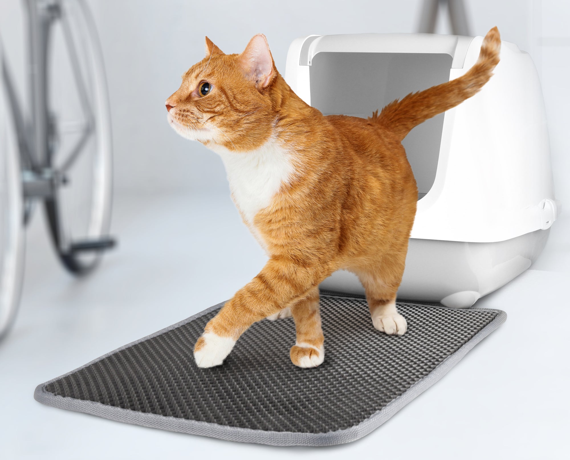 Tapis de bac à litière Gris &