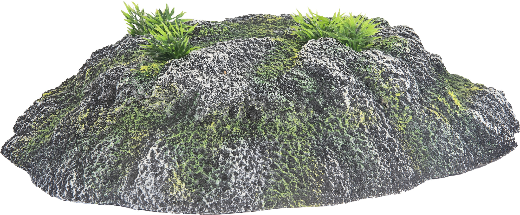 Décoration Île Plante