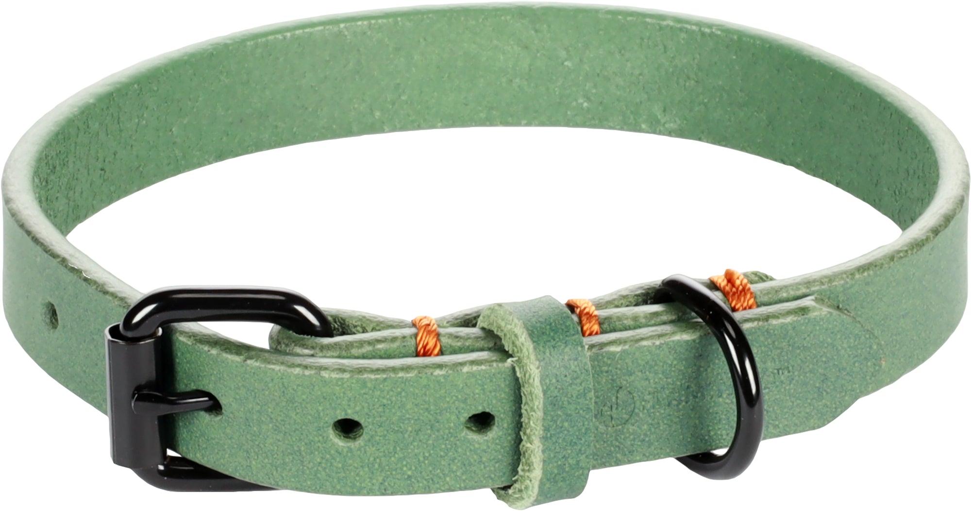 Collier Leano Vert en Cuir pour Chiens Élégants