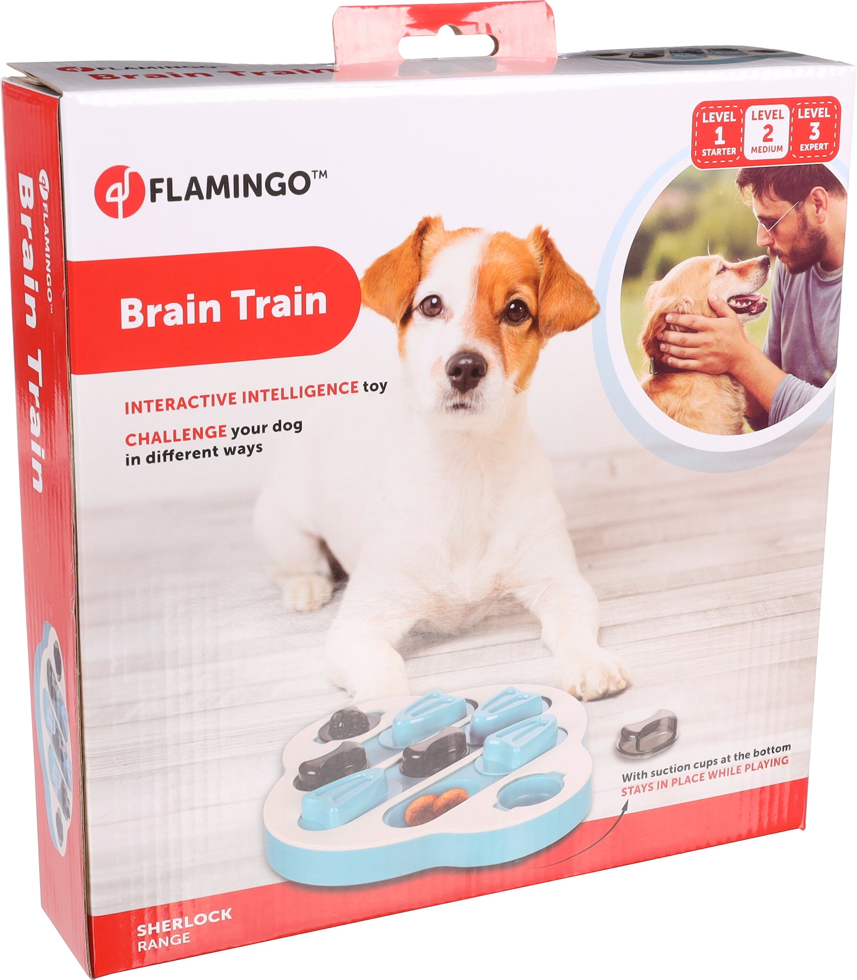 Jouet Brain trainClyde Pétrol