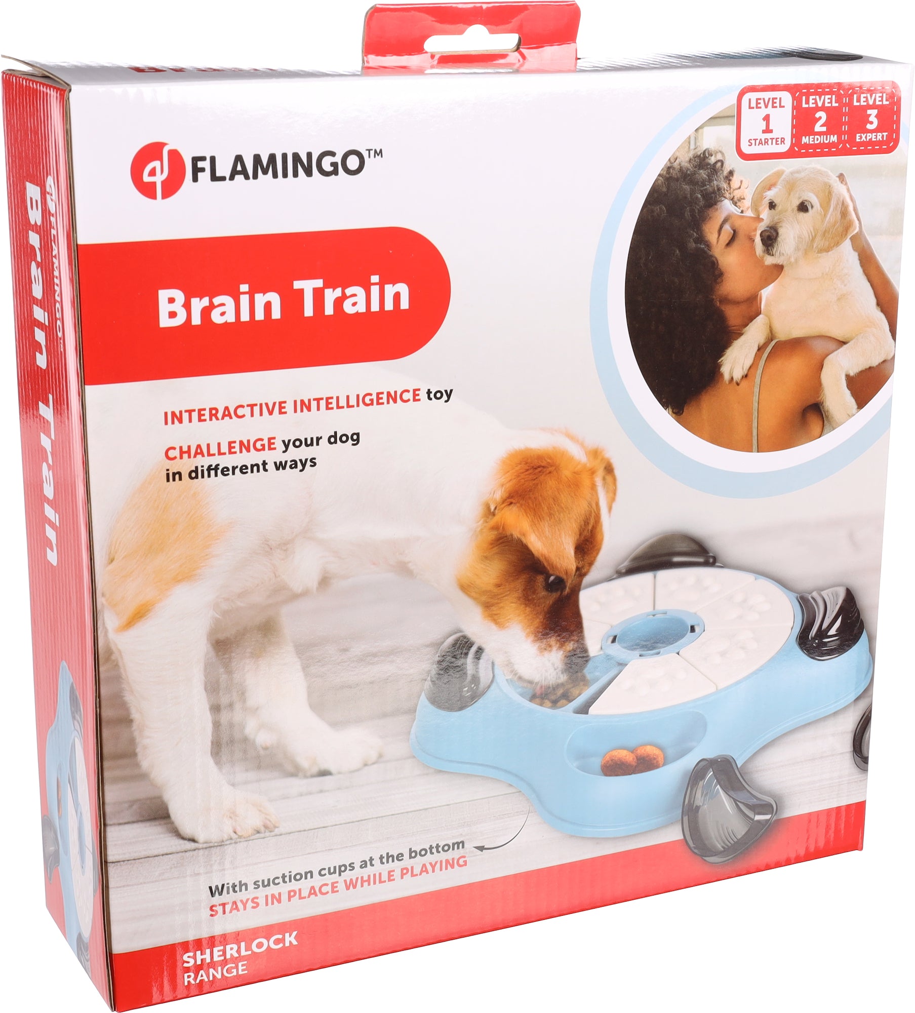 Jouet Brain train Patte Cliff Pétrol