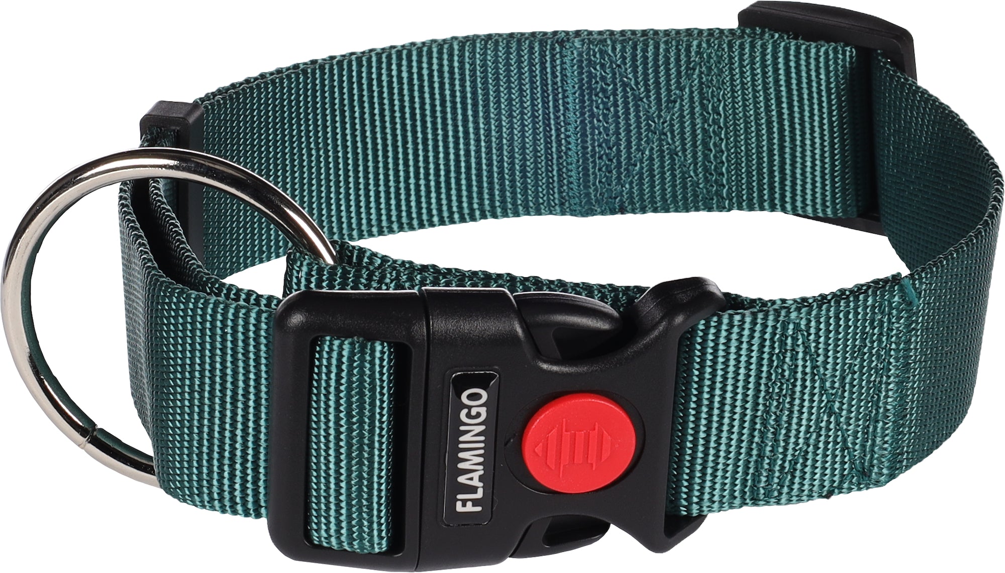 Collier Chic pour Chiens Aventureux