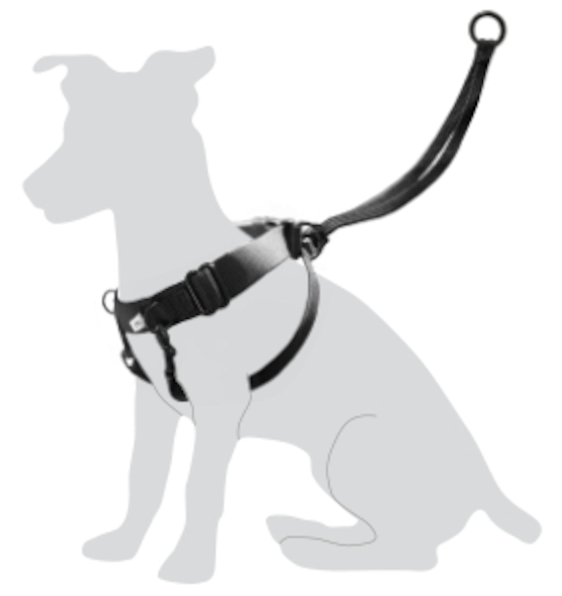 Harnais Confort et Sécurité pour Chiens