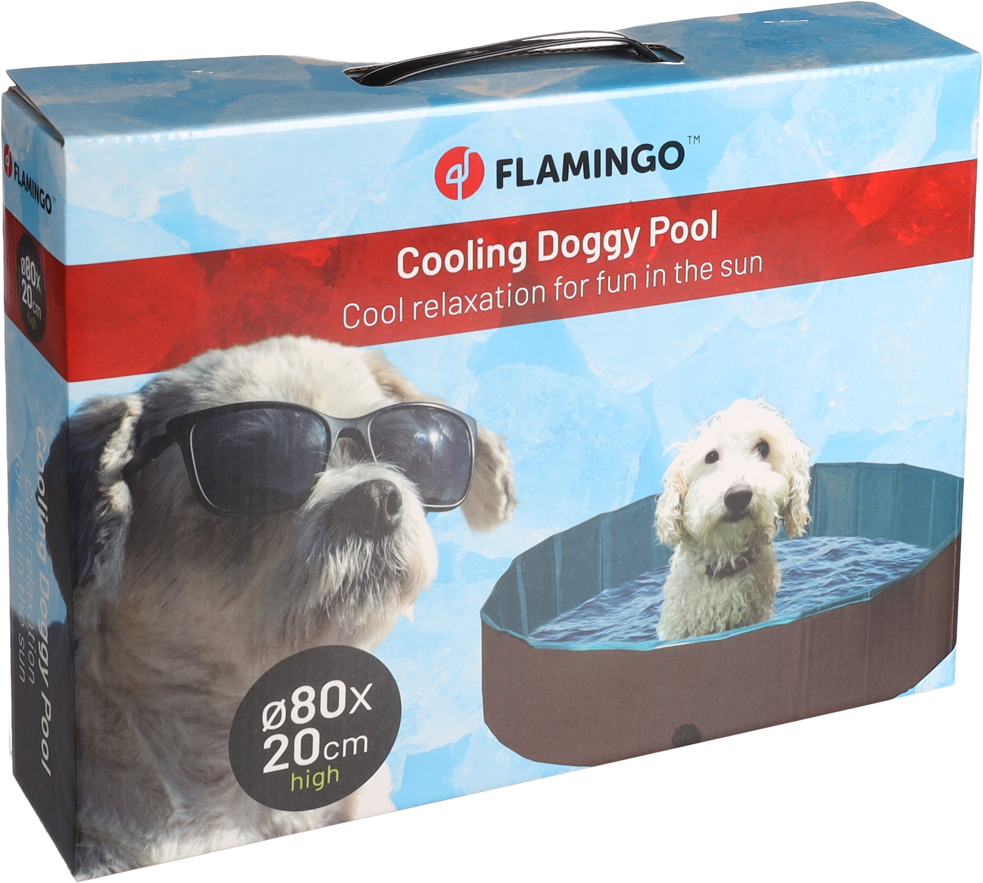 Piscine Pliable pour Chiens et Enfants