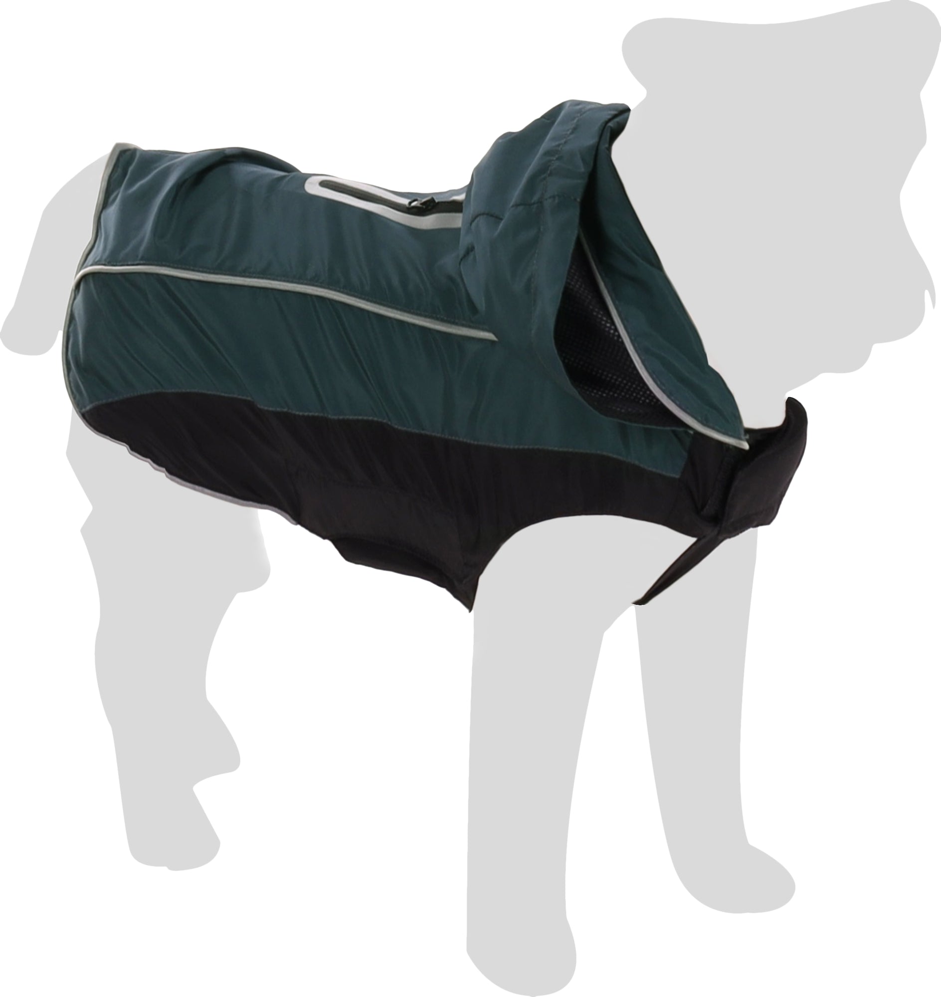 Veste Verte Veru pour Chiens Confortable et Réfléchissante