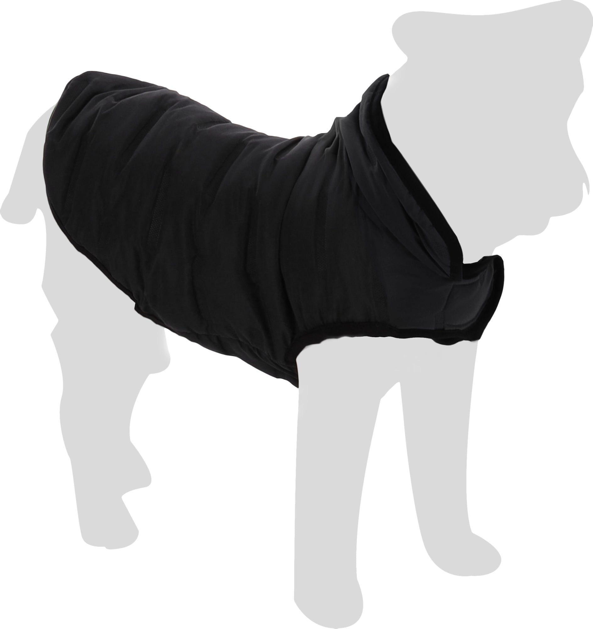 Manteau Résistant pour Chiens Actifs
