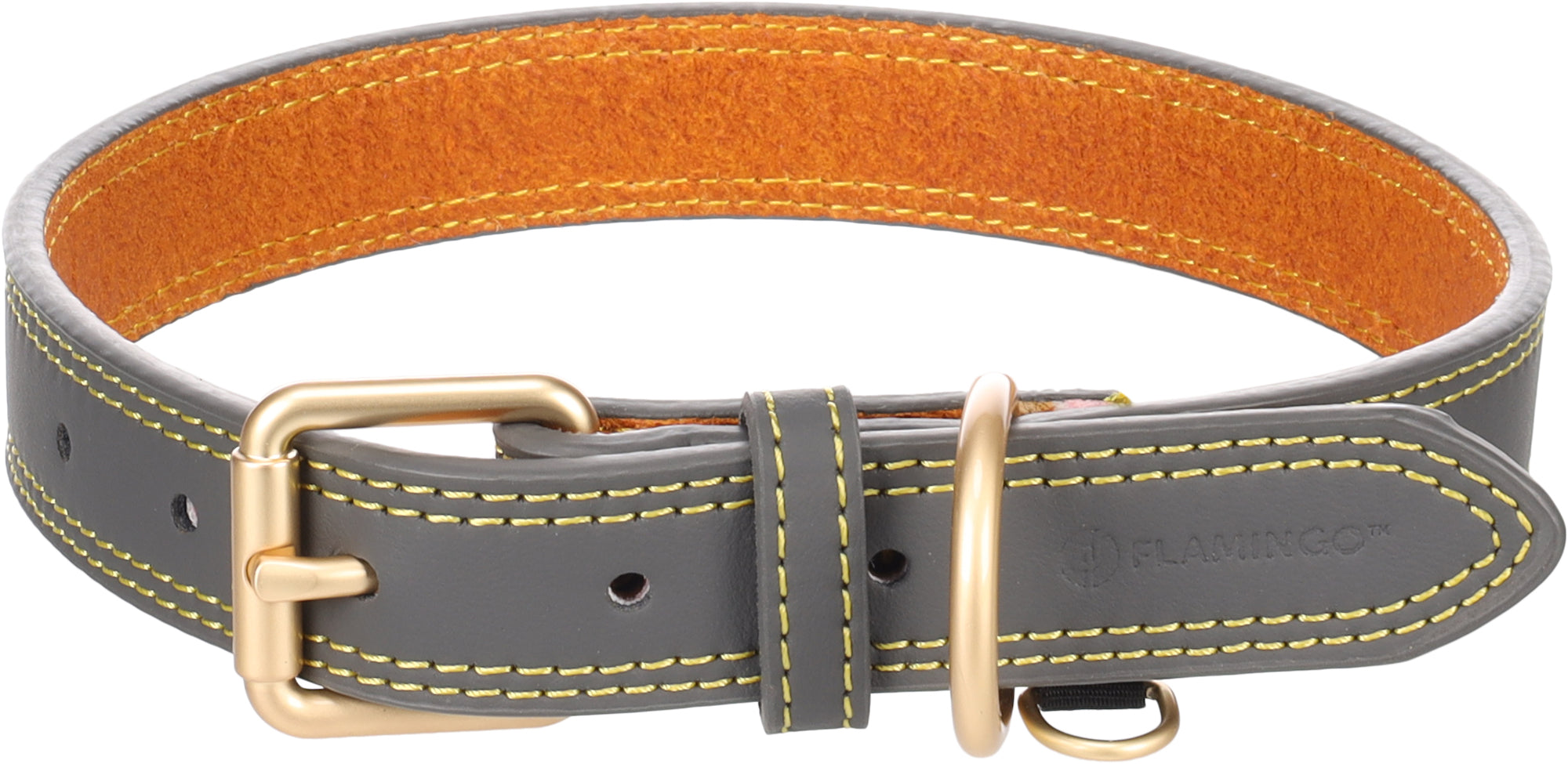 Collier Élégant en Cuir pour Chiens Virginia Grey