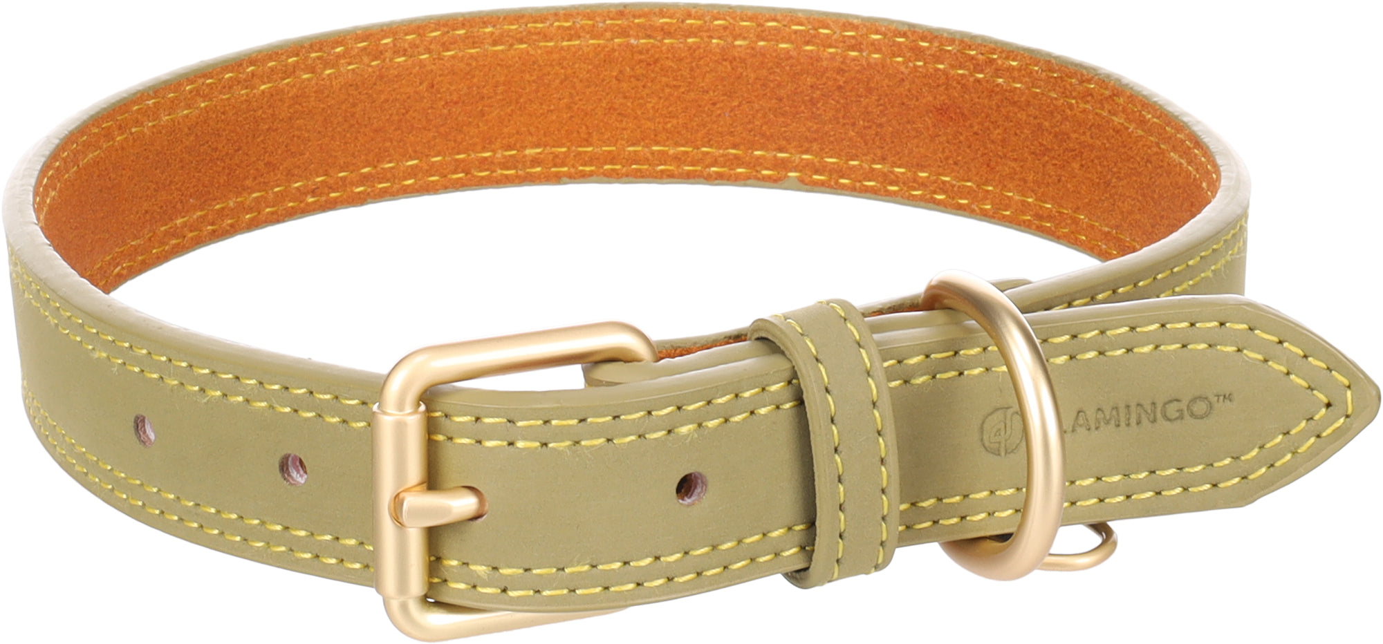 Collier Élégant en Cuir Vert pour Chiens
