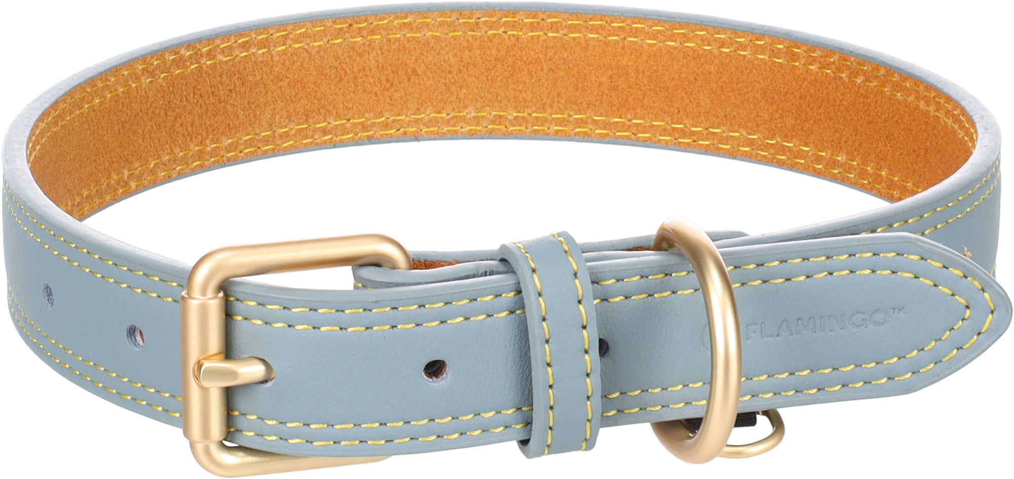 Collier Bleu Ciel en Cuir avec Boucle Dorée