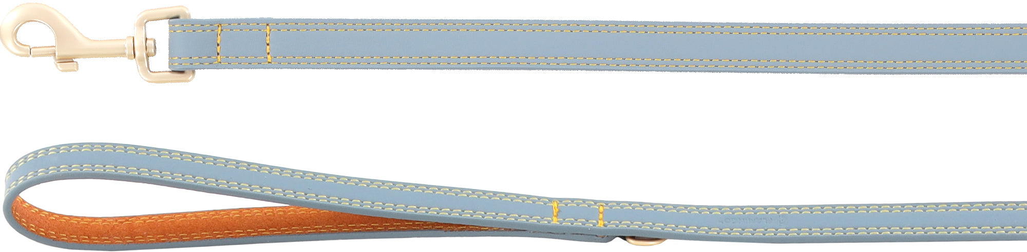Laisse Élégante en Cuir Bleu Clair