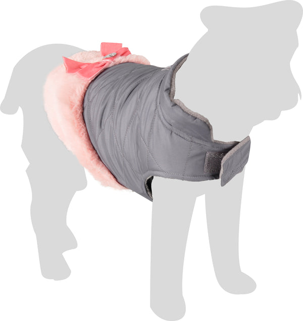 Gris