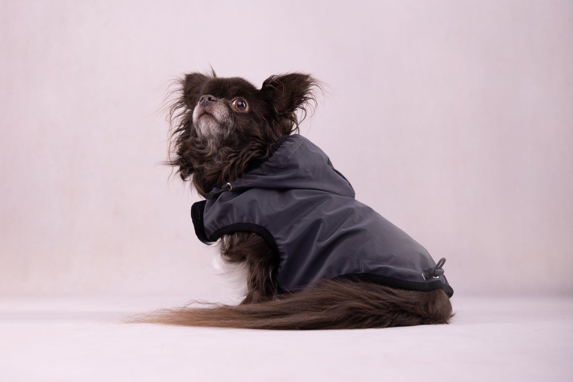 GRIS
