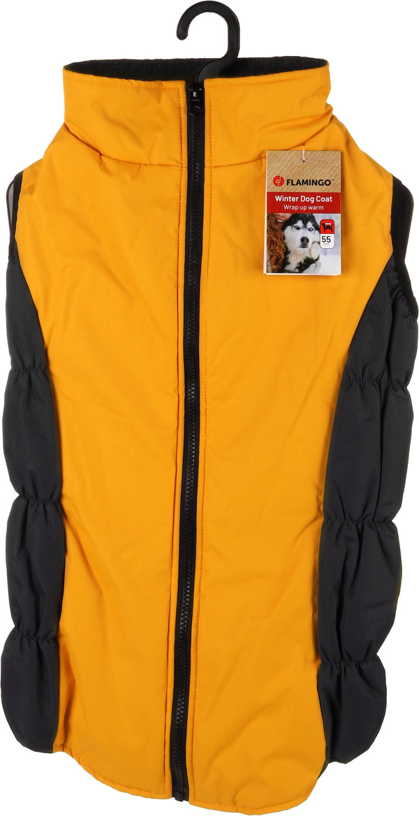 Jaune