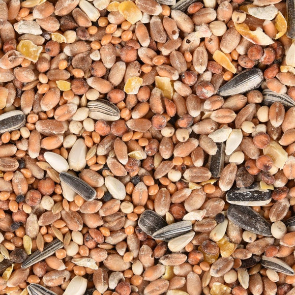 Mélange de Graines pour Oiseaux Sauvages "4 Saisons", poids de 5kg. Offrez une alimentation équilibrée à une variété d'oiseaux sauvages avec ce mélange de graines adapté à toutes les saisons.