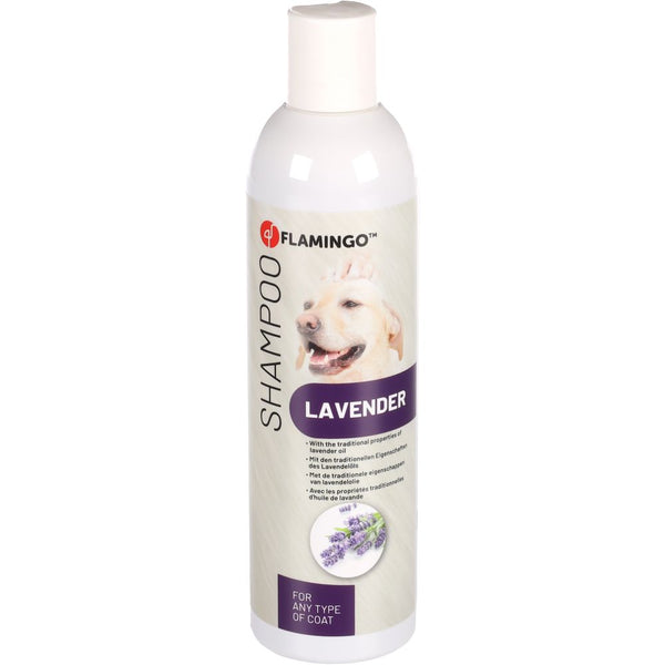 Shampooing à la lavande 300ml