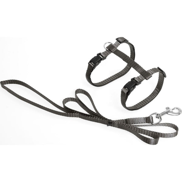 Harnais pour chat + laisse ziggi taupe 20-35cm 10mm