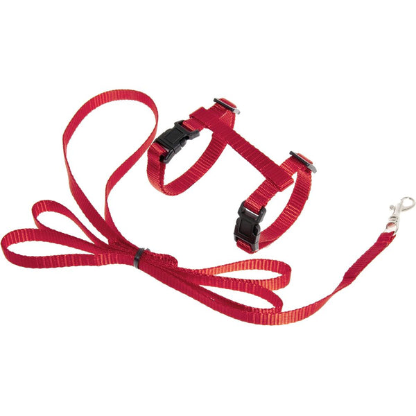 Harnais pour chatons + laisse ziggi rouge 120cm 10mm