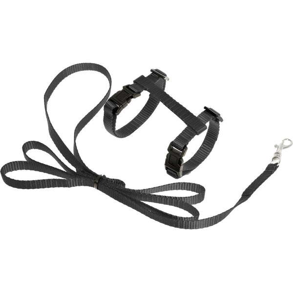Harnais pour chatons + laisse ziggi noir 120cm 10mm