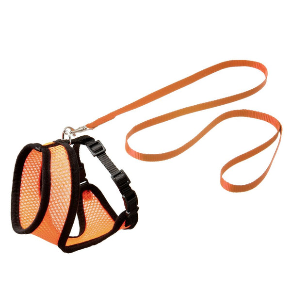 Harms set harnais chaton or/no 110cm10mm