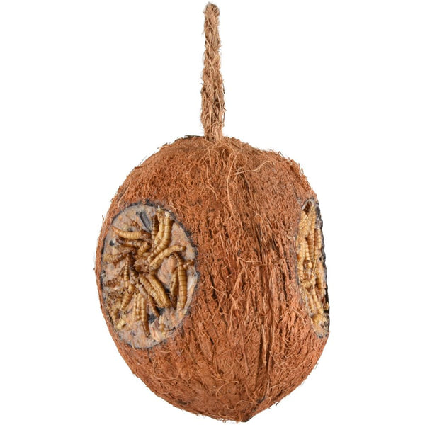 Flamingo :4 seasons noix de coco avec trous avec vers de farine 350g