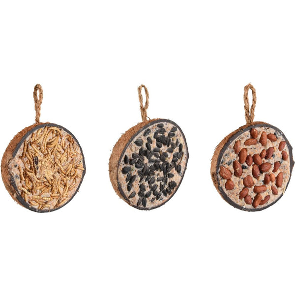 4 seasons demi-noix de coco remplie mélange 3pcs 600g