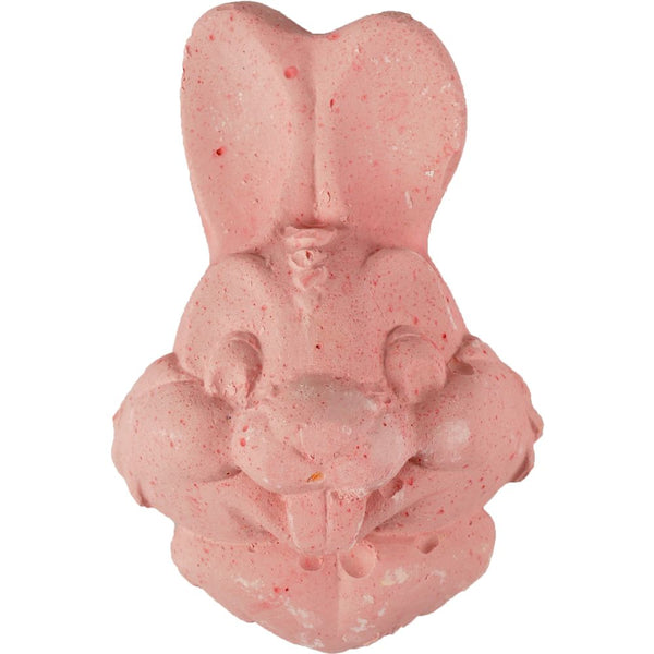 Pierre a picorer lapin 80g