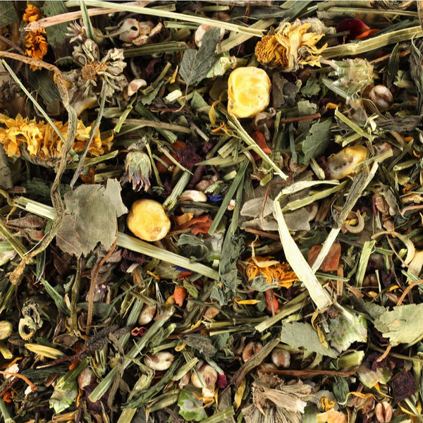 Melange d'herbes des champs rongeur 1kg