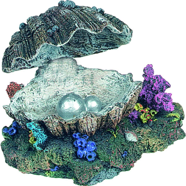 Decoration coquille (mouvement)