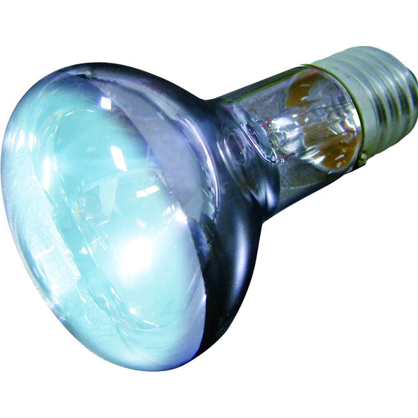 Ampoule lumière du jour joule75w
