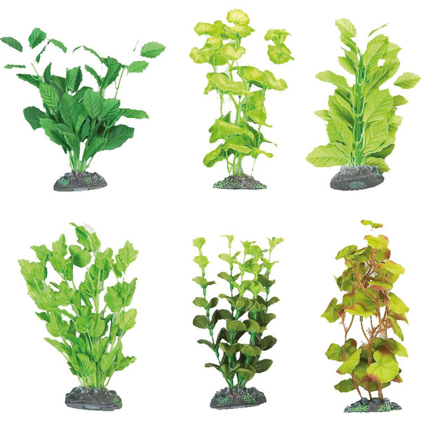 Plante aq. soie brasill