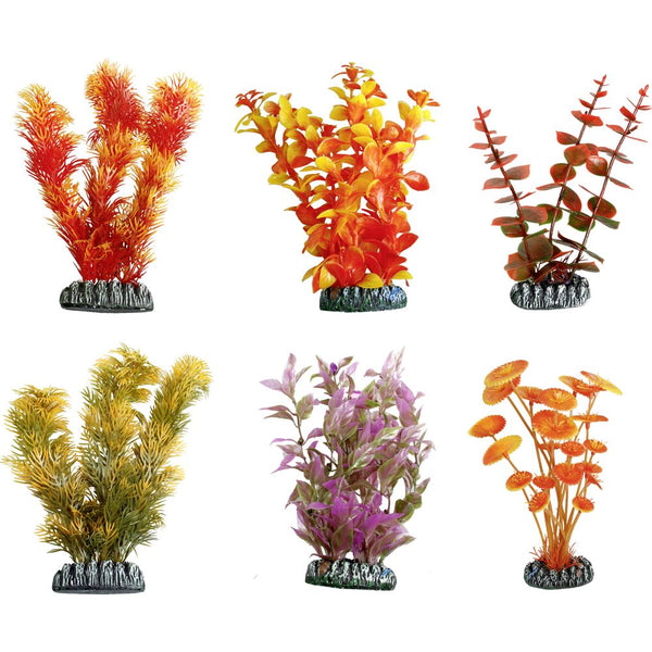 Plante aq. plastique cubaxs