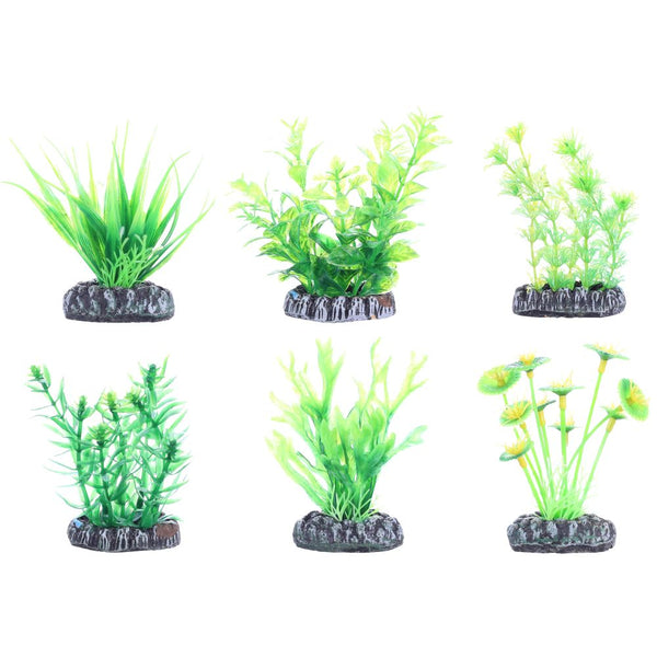 Plante aq. plastique fijixs