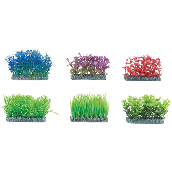 D'avant plante aq.m